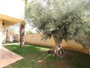 Prodej rodinného domu, Cabo Roig, Alicante, Španělsko, 222 m2