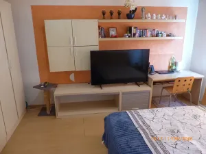Prodej bytu 1+1, Chomutov, Kamenná, 37 m2