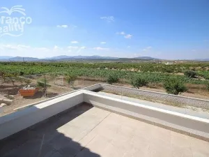 Prodej rodinného domu, Pinoso, Alicante, Španělsko, 220 m2