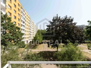 Pronájem bytu 1+kk, Hradec Králové, Selicharova, 30 m2