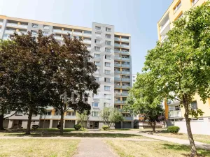 Pronájem bytu 1+kk, Hradec Králové, Selicharova, 30 m2