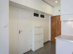 Pronájem bytu 1+kk, Praha - Karlín, Peckova, 34 m2