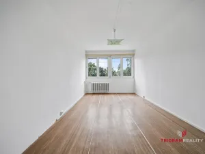 Prodej bytu 2+1, Hradec Králové - Slezské Předměstí, Gagarinova, 44 m2