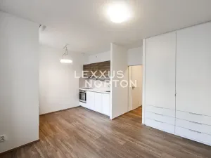 Pronájem bytu 1+kk, Praha - Vinohrady, Lucemburská, 30 m2