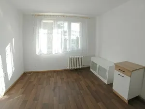 Pronájem bytu 1+1, Plzeň, Dvořákova, 36 m2