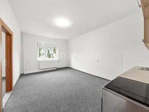 Prodej rodinného domu, Plzeň, Revoluční, 210 m2