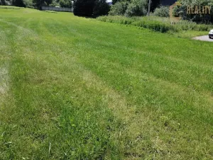 Prodej komerčního pozemku, Dlouhá Třebová, 6780 m2