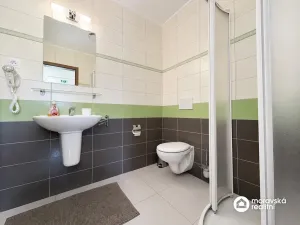 Prodej ubytování, Jevišovka, 241 m2
