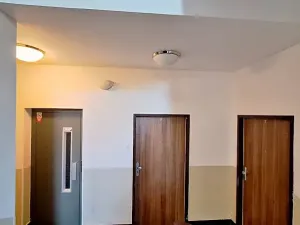 Pronájem bytu 2+kk, Praha - Břevnov, Bělohorská, 47 m2