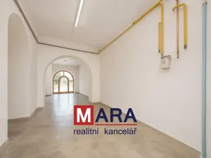 Prodej obchodního prostoru, Tovačov, Náměstí, 739 m2