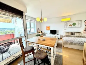 Pronájem bytu 1+kk, Brno, Chudčická, 40 m2