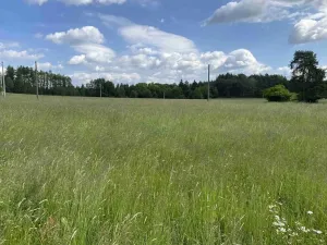 Dražba pole, Planá, 1400 m2