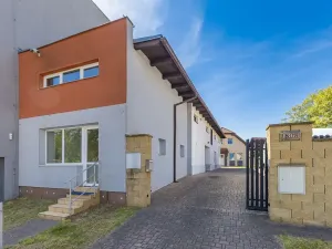 Prodej vícegeneračního domu, Mladá Boleslav, Viničná, 266 m2