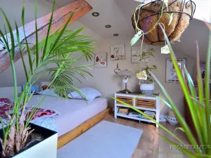 Prodej bytu 2+kk, Praha - Vršovice, Přípotoční, 80 m2