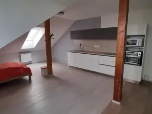 Pronájem bytu 3+kk, Olomouc, Horní Úlehla, 120 m2