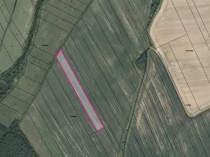 Prodej pole, Podluhy, 11602 m2