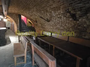 Pronájem restaurace, Opava, Dolní náměstí, 99 m2
