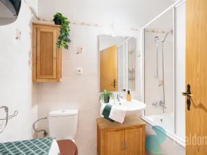 Pronájem bytu 2+1, České Budějovice, Puklicova, 64 m2