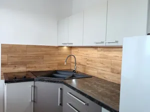 Pronájem bytu 1+1, Opava - Předměstí, Mařádkova, 25 m2