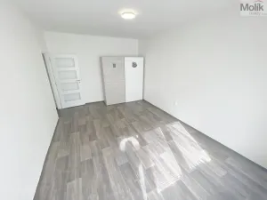 Prodej bytu 2+1, Most, Maxe Švabinského, 55 m2