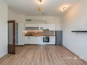 Pronájem bytu 2+kk, Tábor, Politických vězňů, 47 m2