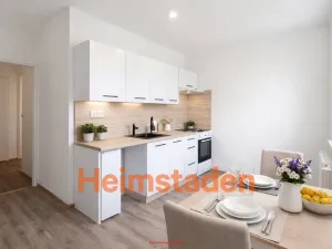 Pronájem bytu 1+1, Karviná - Mizerov, Žižkova, 34 m2