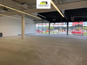 Pronájem výrobních prostor, České Budějovice - České Budějovice 2, České Vrbné, 477 m2