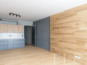 Pronájem bytu 1+kk, Praha - Holešovice, Komunardů, 47 m2