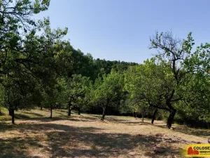 Prodej pozemku, Židlochovice, 4149 m2