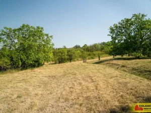 Prodej pozemku, Židlochovice, 4149 m2