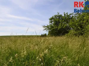 Prodej chalupy, Cholenice, 120 m2
