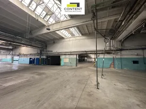 Pronájem výrobních prostor, Příbram - Příbram I, Obecnická, 9000 m2