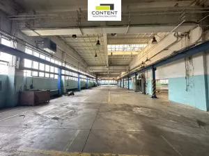 Pronájem výrobních prostor, Příbram - Příbram I, Obecnická, 9000 m2