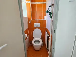 Pronájem vícegeneračního domu, Velká Polom, 100 m2