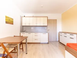 Pronájem bytu 1+kk, Loučná nad Desnou, 20 m2