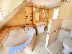 Pronájem bytu 4+1, Osek, Obránců míru, 159 m2