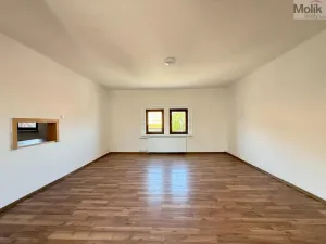 Pronájem bytu 4+1, Osek, Obránců míru, 159 m2
