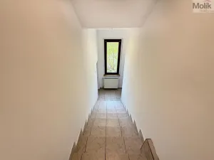 Pronájem bytu 4+1, Osek, Obránců míru, 159 m2