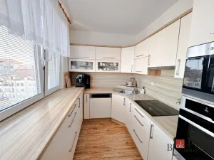 Pronájem bytu 3+1, Hodonín, Slavíkova, 74 m2