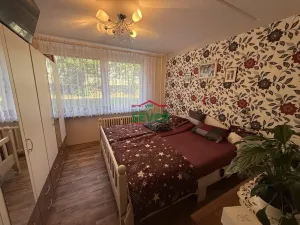 Prodej bytu 3+1, Litvínov - Hamr, Přátelství, 69 m2