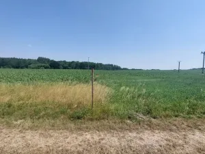 Prodej pozemku pro bydlení, Pavlov, 2051 m2