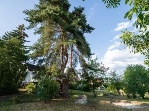 Prodej pozemku pro bydlení, Všeradice, 1215 m2
