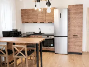 Pronájem bytu 2+kk, Plasy, U Václava, 55 m2