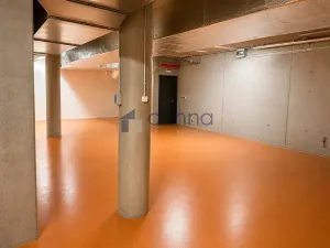 Pronájem skladu, Praha, U Elektry, 330 m2