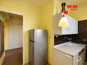 Prodej bytu 1+1, Havířov - Podlesí, Kosmonautů, 28 m2