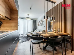 Prodej bytu 2+kk, Černý Důl, 46 m2