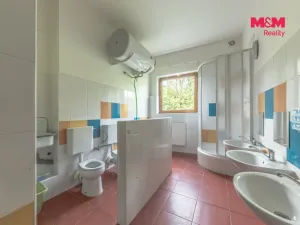 Pronájem komerční nemovitosti, Zdiby - Přemyšlení, U Továrny, 175 m2