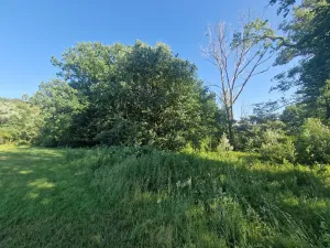 Prodej pozemku, Velká Polom, Okružní, 6038 m2