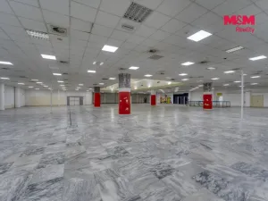 Pronájem obchodního prostoru, Plzeň - Východní Předměstí, Americká, 1603 m2