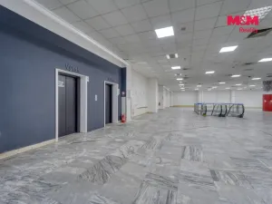 Pronájem obchodního prostoru, Plzeň - Východní Předměstí, Americká, 1603 m2